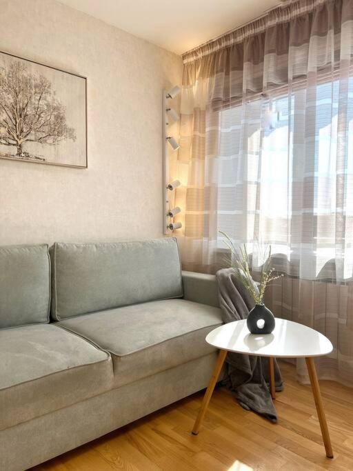 New Apartment With A View In The Town Center Нарва Екстер'єр фото